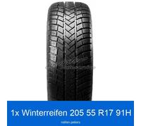Winterreifen Vredestein WinTrac Pro 3PMSF VW 205/55 R17 91H | 34451
