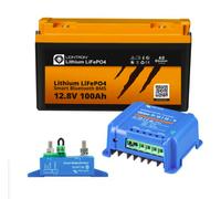 Wohnwagen Autark Starter LiFePO4 100Ah + Victron Orion-Tr 12/12-9ADC/DC-Wandler