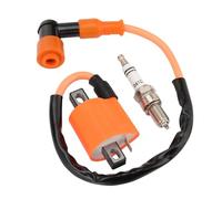 WOOSTAR Motorrad Zündspule mit D8TC Zündkerzen Ersatz für 125ccm 150ccm 200ccm 250ccm ATV Dirtbike Go Kart Moped Roller