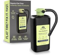 Woowind Reifendichtmittel, Platte Reifen, Dichtet 5mm, TPMS-sicher, 450 ml | Sofort-Reparaturset Für Platte Reifen, Dichtet Reifenpannen Bis 5 Mm, TPMS-Sicher, Wetterfest