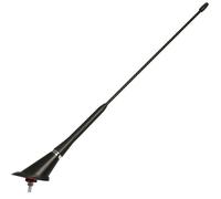 WRC 007504 Antenne