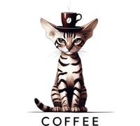XXL 18X18 Autoaufkleber Katzen brauchen Kaffee Vinyl Sticker