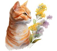 XXL 18X18 Autoaufkleber Orange Katze Aufkleber Wetterfester Vinyl Sticker