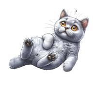 XXL 18X18 Autoaufkleber Süße Katze Aufkleber Wetterfester Vinyl Sticker