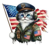 XXL 30X30 Autoaufkleber Katze im Militär Aufkleber