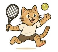 XXL 30X30 Autoaufkleber Katze spielt Tennis Aufkleber