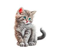 XXXL 40X40 cm Autoaufkleber Sticker Katzen Aufkleber