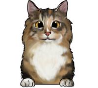 XXXL 50X50 cm Autoaufkleber Sticker Katzen Aufkleber