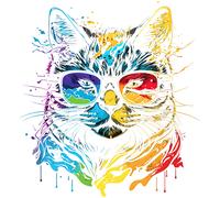 XXXL 50X50 cm Autoaufkleber Sticker Katzen Aufkleber