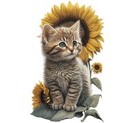 XXXL 50X50 cm Autoaufkleber Sticker Katzen Aufkleber