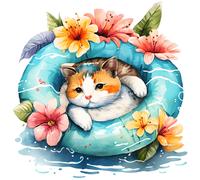 XXXL 50X50 cm Autoaufkleber Sticker Katzen Aufkleber