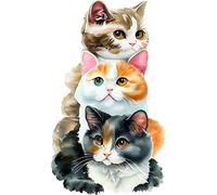 XXXL 50X50 cm Autoaufkleber Sticker Katzen Aufkleber