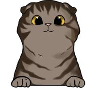 XXXL 60X60 cm Autoaufkleber Sticker Katzen Aufkleber