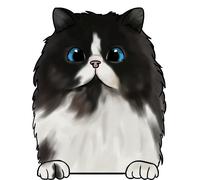 XXXL 60X60 cm Autoaufkleber Sticker Katzen Aufkleber