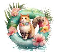 XXXL 60X60 cm Autoaufkleber Sticker Katzen Aufkleber