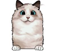XXXL 60X60 cm Autoaufkleber Sticker Katzen Aufkleber