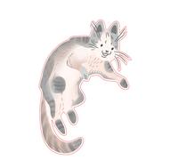 XXXL 60X60 cm Autoaufkleber Sticker Katzen Aufkleber