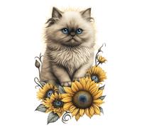 XXXL 60X60 cm Autoaufkleber Sticker Katzen Aufkleber