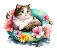 XXXL 60X60 cm Autoaufkleber Sticker Katzen Aufkleber