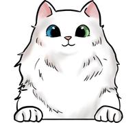 XXXL 60X60 cm Autoaufkleber Sticker Katzen Aufkleber