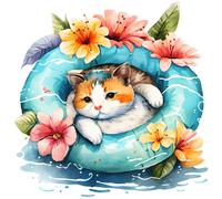 XXXL 60X60 cm Autoaufkleber Sticker Katzen Aufkleber