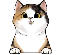 XXXL 60X60 cm Autoaufkleber Sticker Katzen Aufkleber