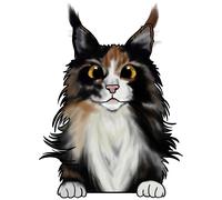 XXXL 60X60 cm Autoaufkleber Sticker Katzen Aufkleber