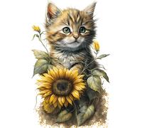 XXXL 60X60 cm Autoaufkleber Sticker Katzen Aufkleber