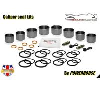 Yamaha XJR1300 2006 Vorderer Bremssattel Kolben Dichtung Ersatzteile 5WM