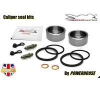 Yamaha XJR400 Blau Spot 2006 Bremssattelkolben Hinten Dichtung Ersatzteile