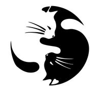 Ying & Yang Katzen Aufkleber Auto Fenster Wand Möbel Deko