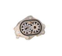 Zahnradpumpe, Common-Rail Einspritzpumpe BOSCH 0 440 020 087