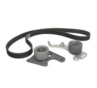 Zahnriemensatz Schaeffler INA 530 0096 10
