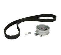 Zahnriemensatz Schaeffler INA 530 0171 10
