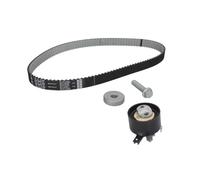 Zahnriemensatz Schaeffler INA 530 0843 10