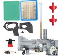 ZAMDOE 498298 Vergaser für Briggs & Stratton 498298 692784 495951 492611 495426 490533 112202 112212 112231 112232 5HP Motoren mit Dichtungen Kraftstofffilter Luftfilter Vorfilter