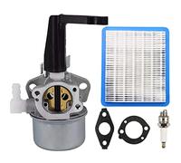 ZAMDOE 696065 Vergaser kompatibel für Briggs & Stratton 697422 110402 110412 215369 5 PS 5,5 PS 6 PS Pinne Horizontal Motor Generator Intek Motor Wasserpumpe mit Dichtung Luftfilterpatrone Zündkerze