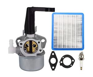 ZAMDOE 696065 Vergaser kompatibel für Briggs & Stratton 697422 110402 110412 215369 5 PS 5,5 PS 6 PS Pinne Horizontal Motor Generator Intek Motor Wasserpumpe mit Dichtung Luftfilterpatrone Zündkerze