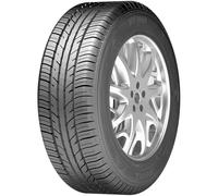 Zeetex WP1000 205/60 R16 96 H, Winterreifen
