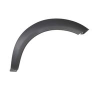 Zier-/Schutzleiste, Kotflügel BLIC 5703-08-6425378P