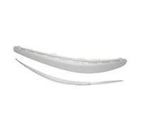 Prasco Zierleiste ME0391246 E-Klasse W211 07/02-04/07 Links, grundiert, verchromt, ohne PDC-Löcher