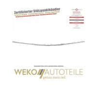 DIEDERICHS Zier-/Schutzleiste, Stoßfänger 1682363