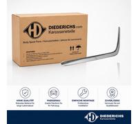 ZIER SCHUTZLEISTE STOSSFÄNGER VORNE LINKS DIEDERICHS 1613063 FÜR