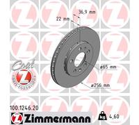 ZIMMERMANN Bremsscheibe COAT Z vorne rechts links außenbelüftet 256mm für AUDI 100.1246.20