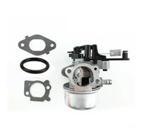 Zoegneer Vergaser-Kit mit Dichtungs-Reparaturteilen für 800OHV-Motor 799226 Rasenmäher-Ersatzteile