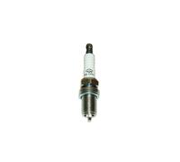 Zündkerze Champion RC12YC Briggs Stratton Aufsitzmäher,Rasenmäher Neu
