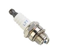 Champion RJ19LM Motor Zündkerze