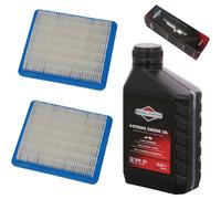 Zündkerze + Filter + Rasenmäheröl für Briggs & Stratton B&S Quantum 625 650 675