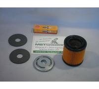 Zündkerze, Luftfilter, Sicherungsblech, 2xReibscheibe, für AS Mäher AS21-165/3