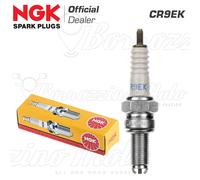 NGK Zündkerze NGK CR9EK